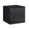 12U LINIER Swing-Out Wall Mount Cabinet - Solid Door border=